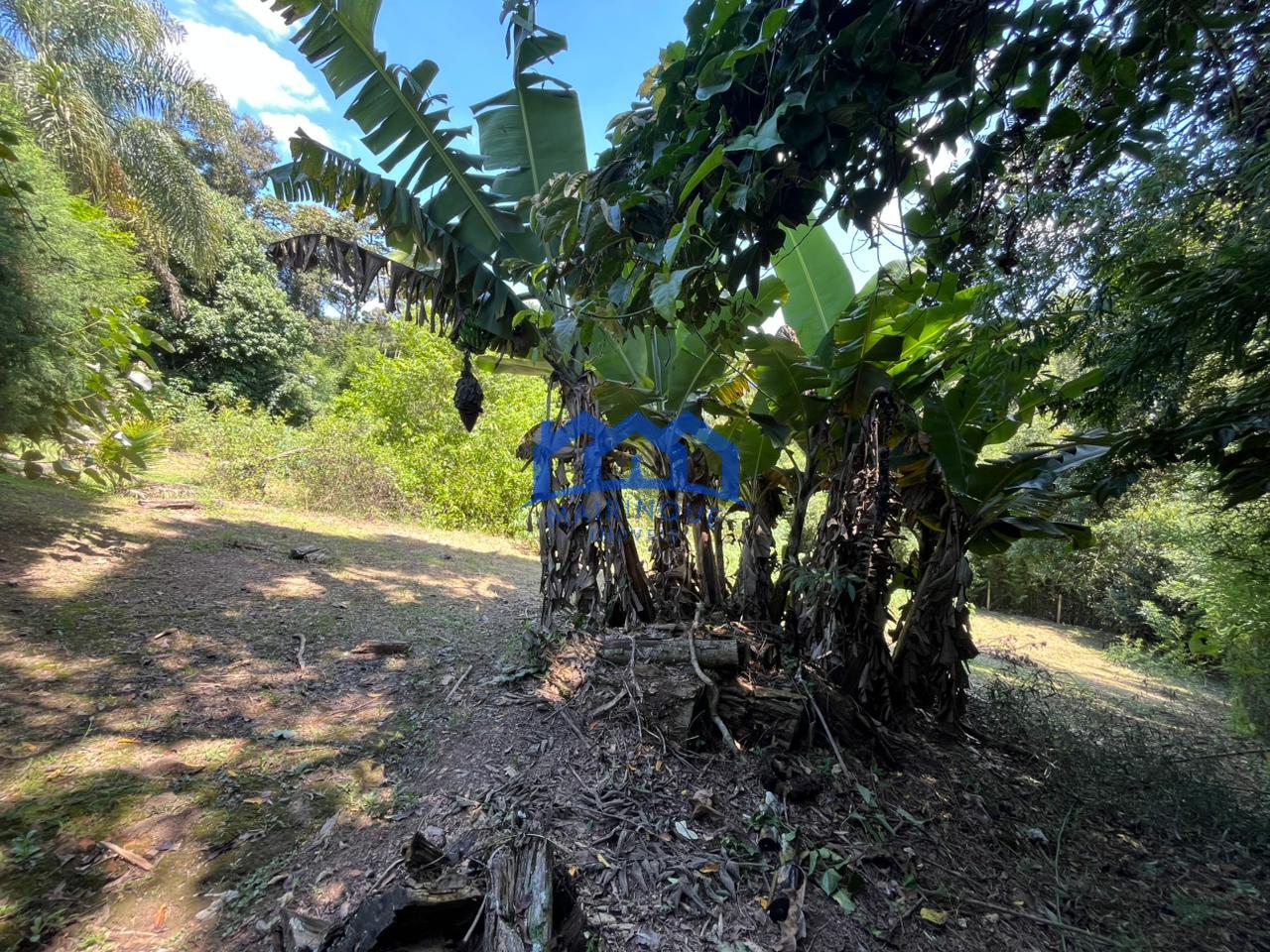 WhatsApp Image 2026-03-16 at 14.50.47 (3)