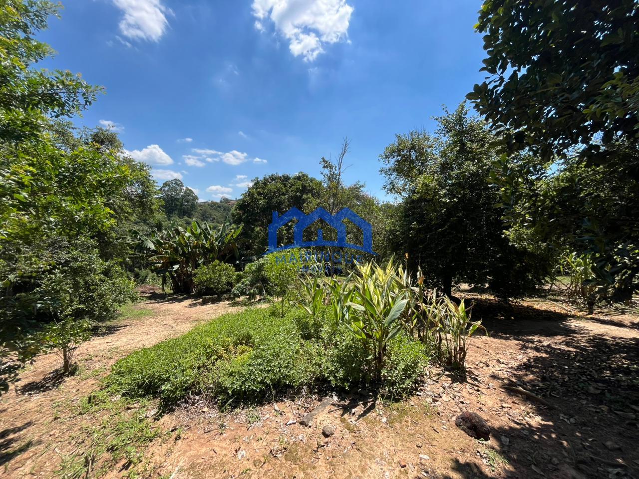 WhatsApp Image 2026-03-16 at 14.50.47 (4)