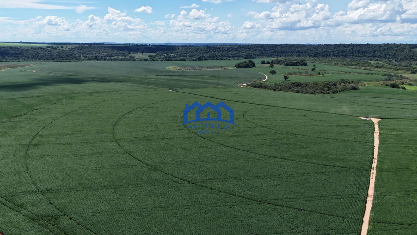 WhatsApp Image 2026-03-17 at 10.40.16 (3)