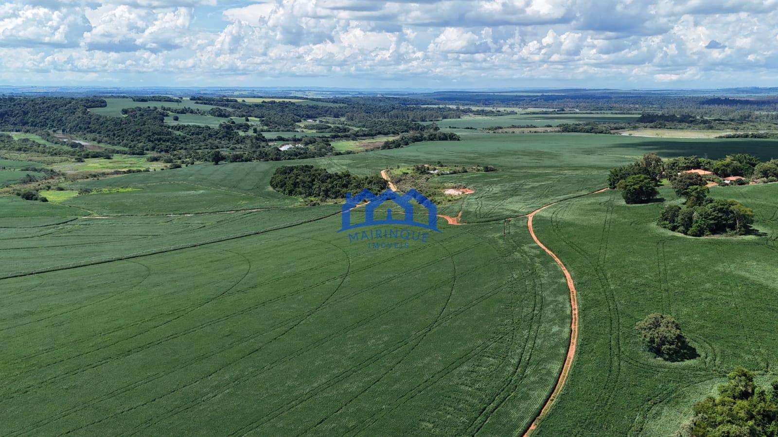 WhatsApp Image 2026-03-17 at 10.40.17 (1)