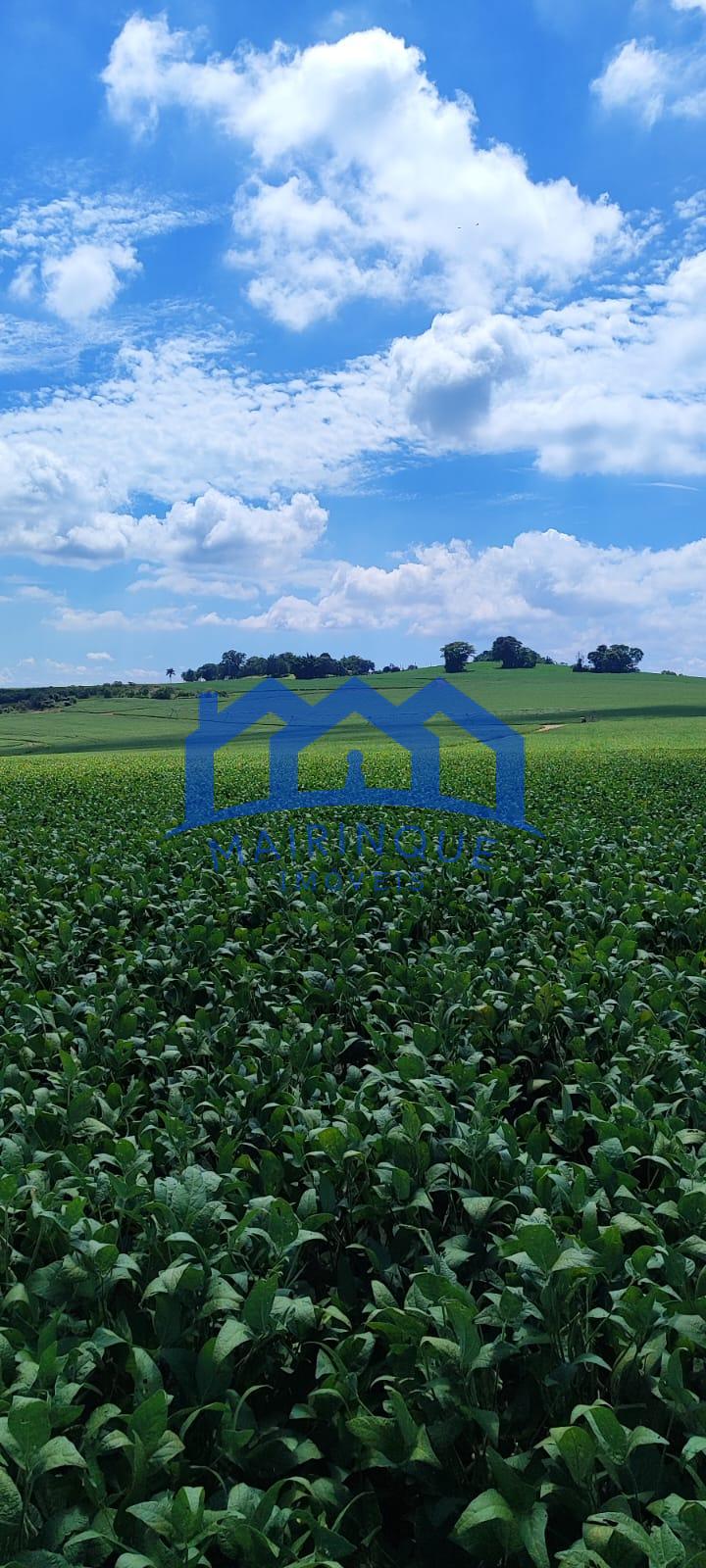 WhatsApp Image 2026-03-17 at 10.40.17