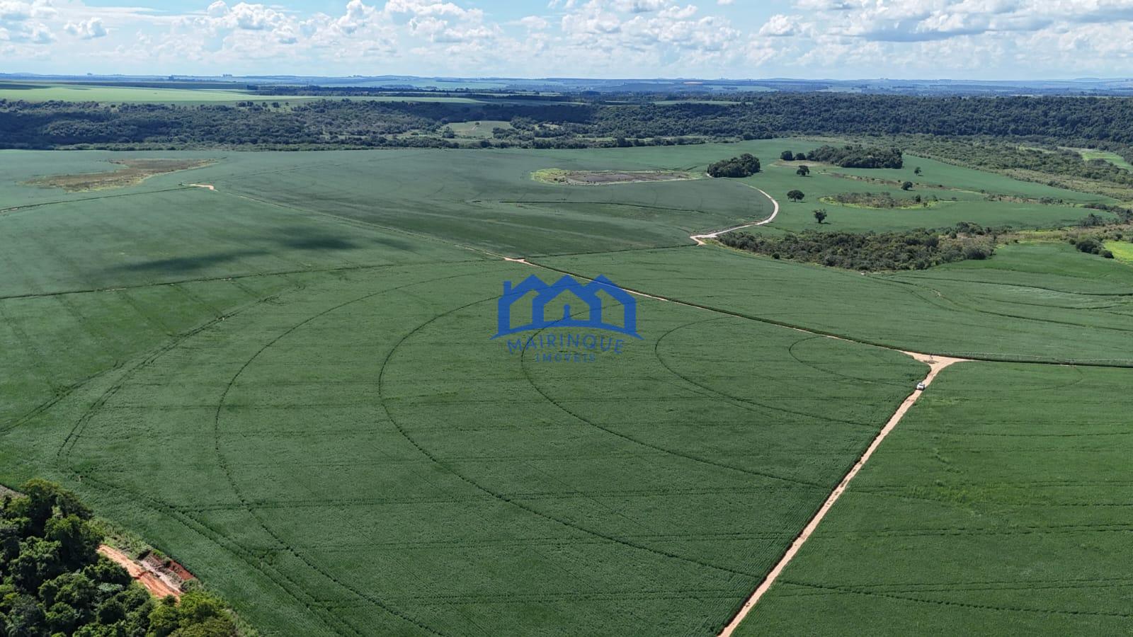 WhatsApp Image 2026-03-17 at 10.40.18 (1)