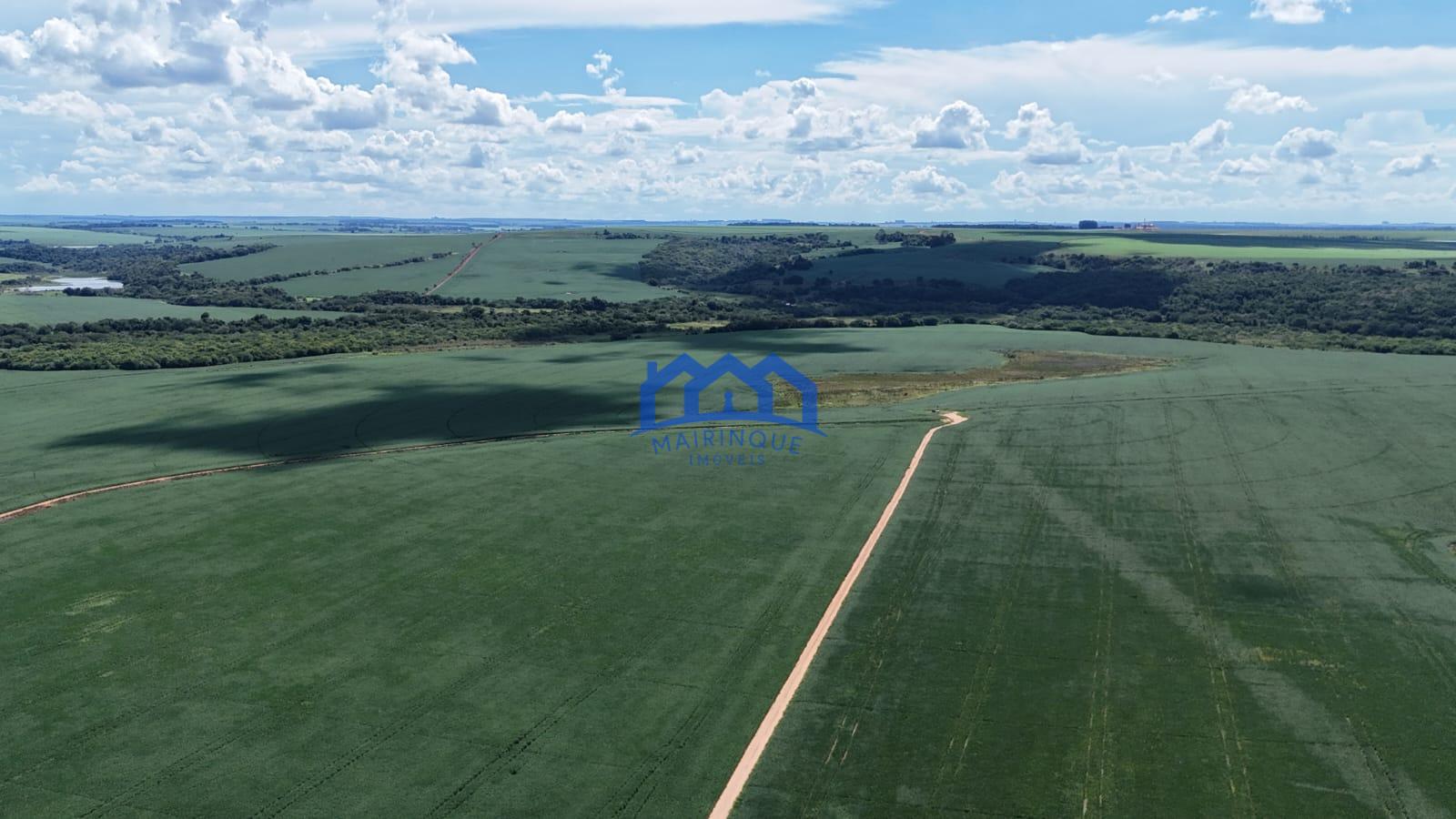 WhatsApp Image 2026-03-17 at 10.40.18 (3)