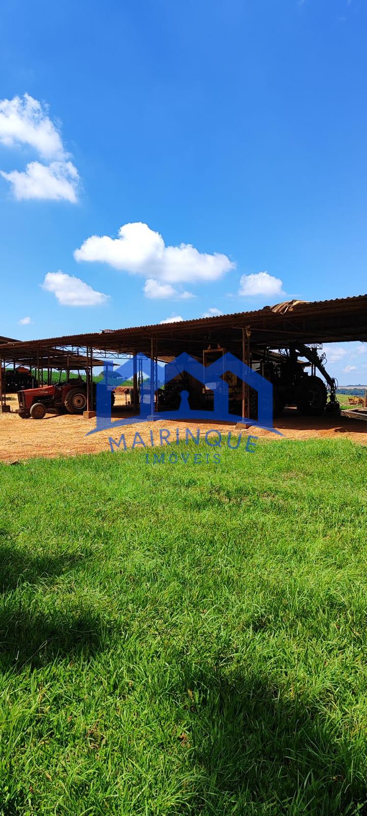 WhatsApp Image 2026-03-17 at 10.40.18 (4)