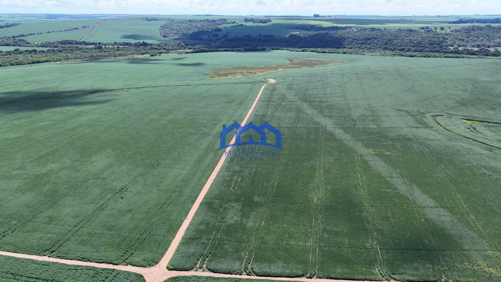 WhatsApp Image 2026-03-17 at 10.40.19 (2)