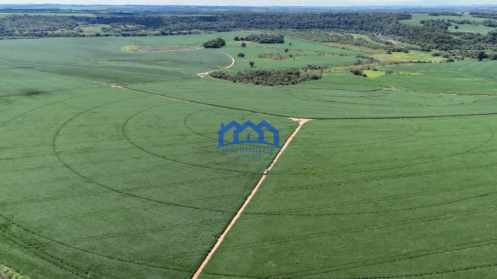 WhatsApp Image 2026-03-17 at 10.40.19 (3)