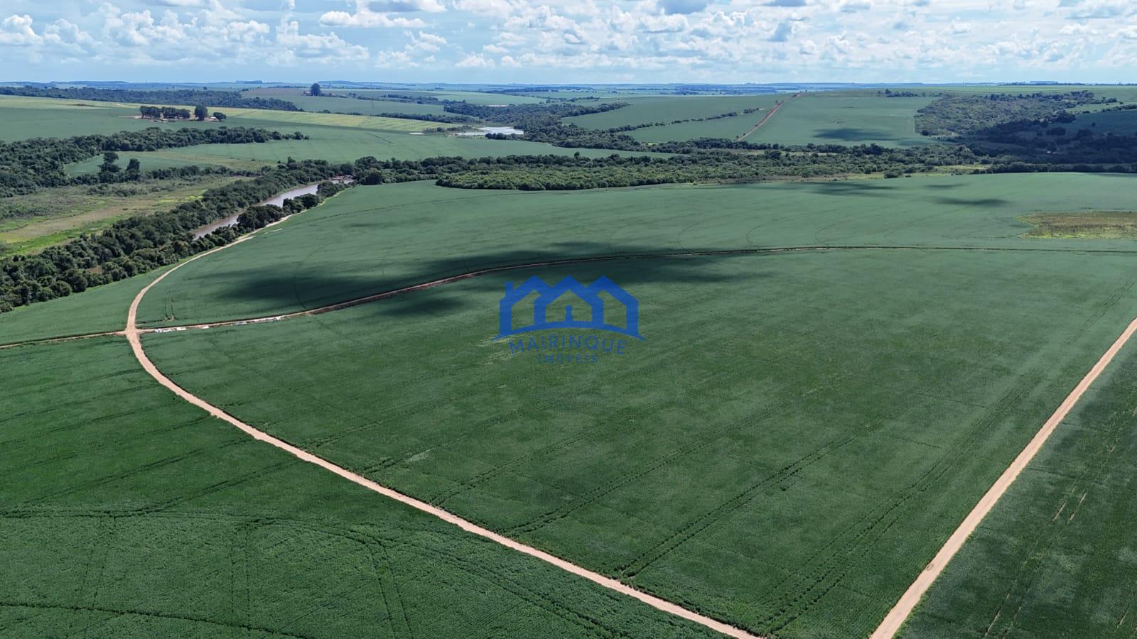 WhatsApp Image 2026-03-17 at 10.40.19