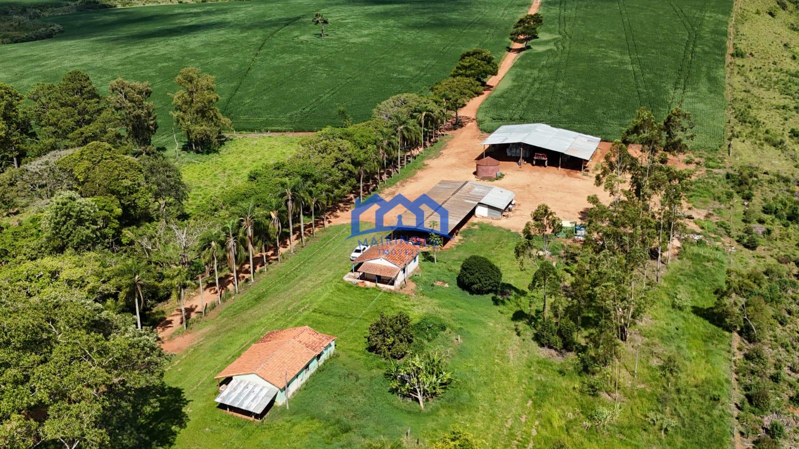 WhatsApp Image 2026-03-17 at 10.40.20 (5)