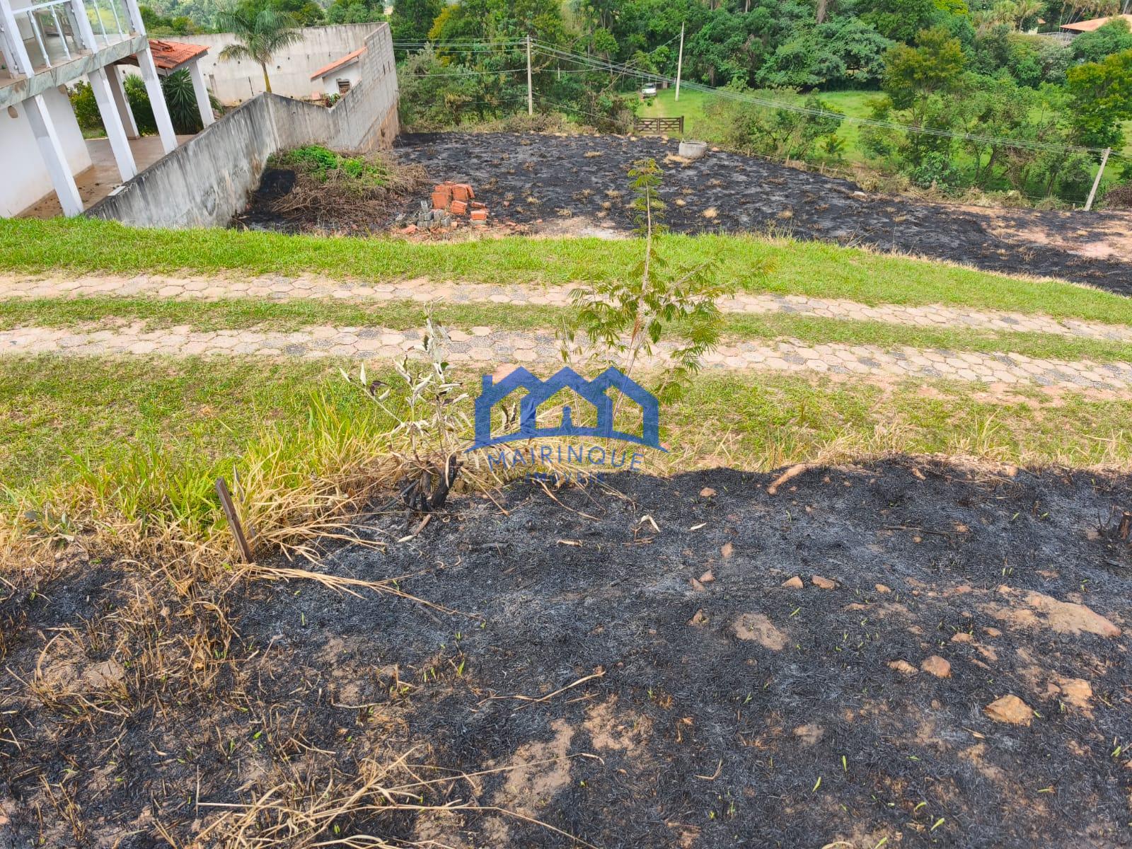 WhatsApp Image 2026-03-18 at 12.26.31