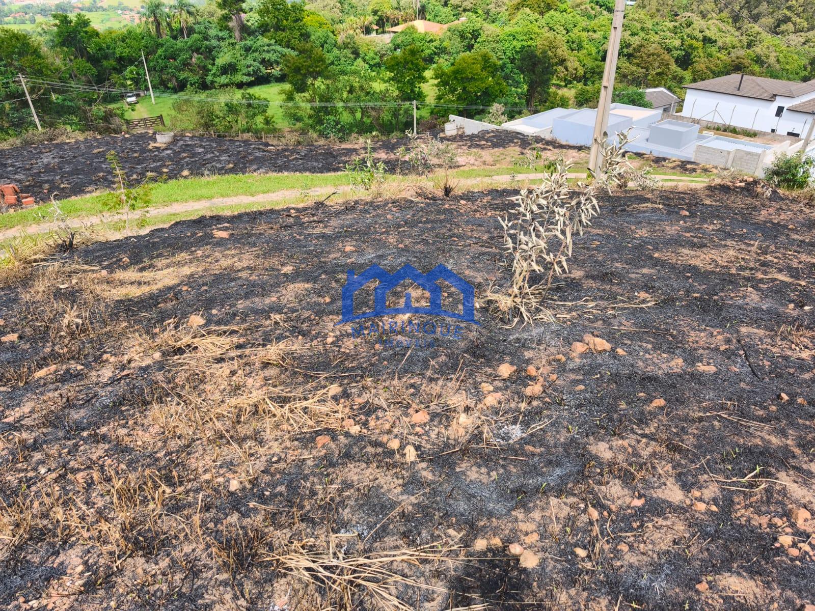 WhatsApp Image 2026-03-18 at 12.26.32 (3)