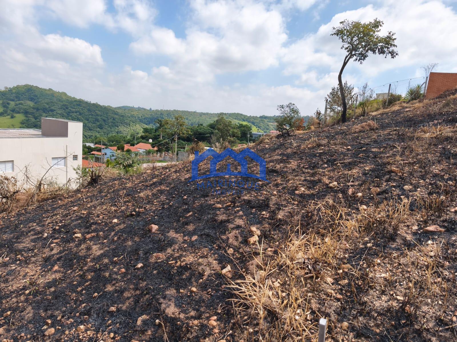 WhatsApp Image 2026-03-18 at 12.26.33