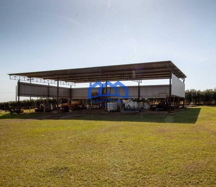 WhatsApp Image 2026-03-21 at 11.27.04 (1)