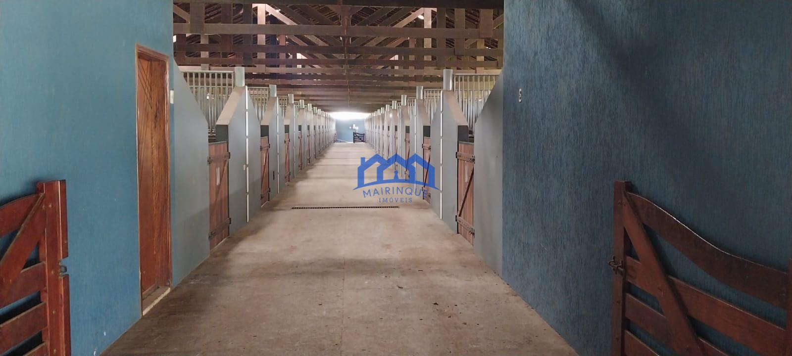 WhatsApp Image 2026-03-21 at 11.27.05