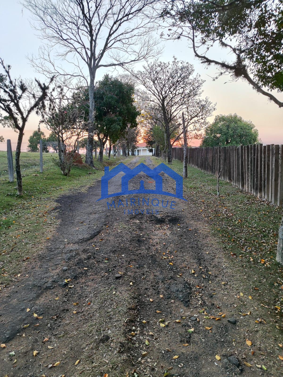 WhatsApp Image 2026-03-23 at 15.25.09