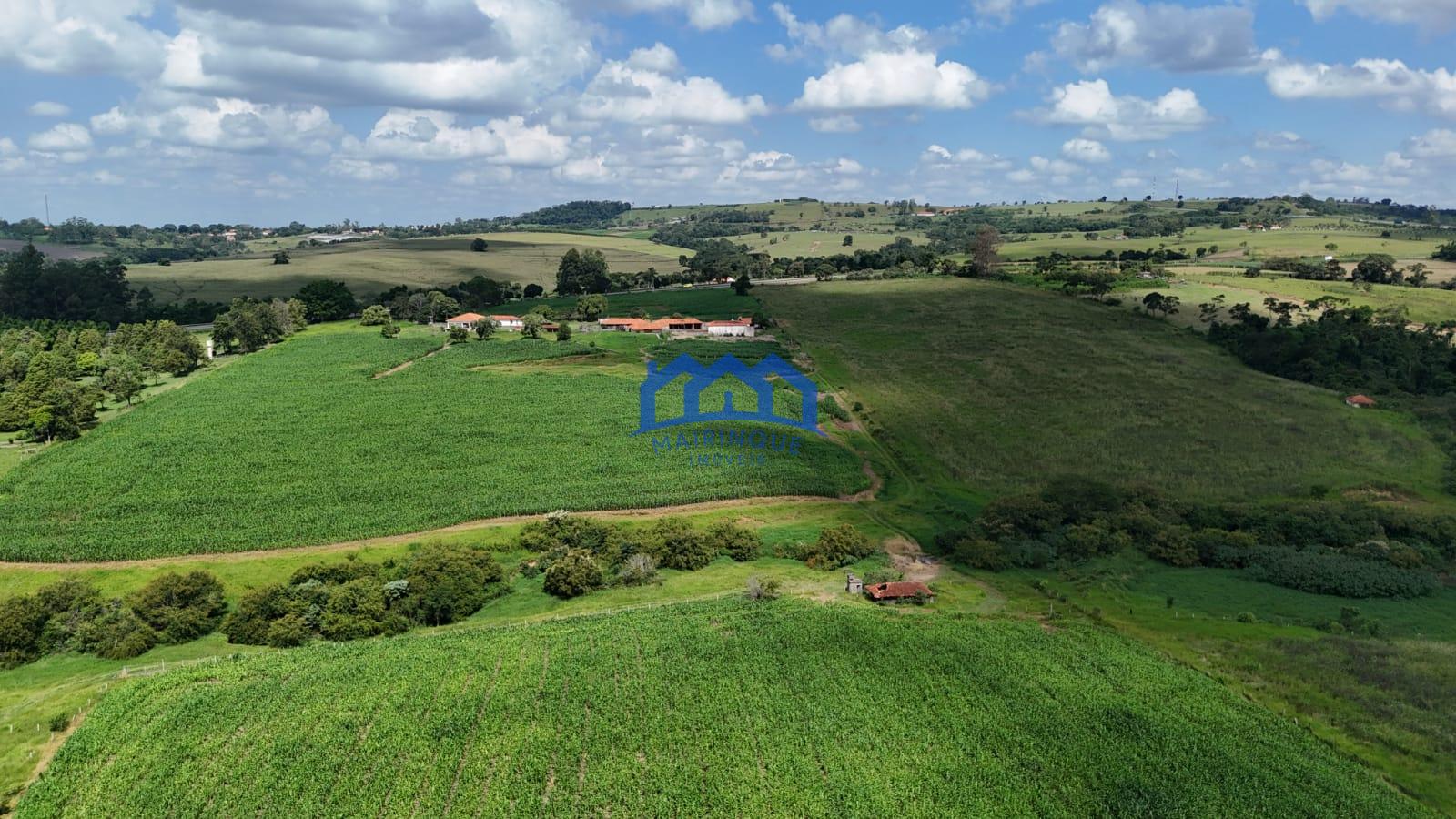 WhatsApp Image 2026-03-23 at 15.25.10 (1)