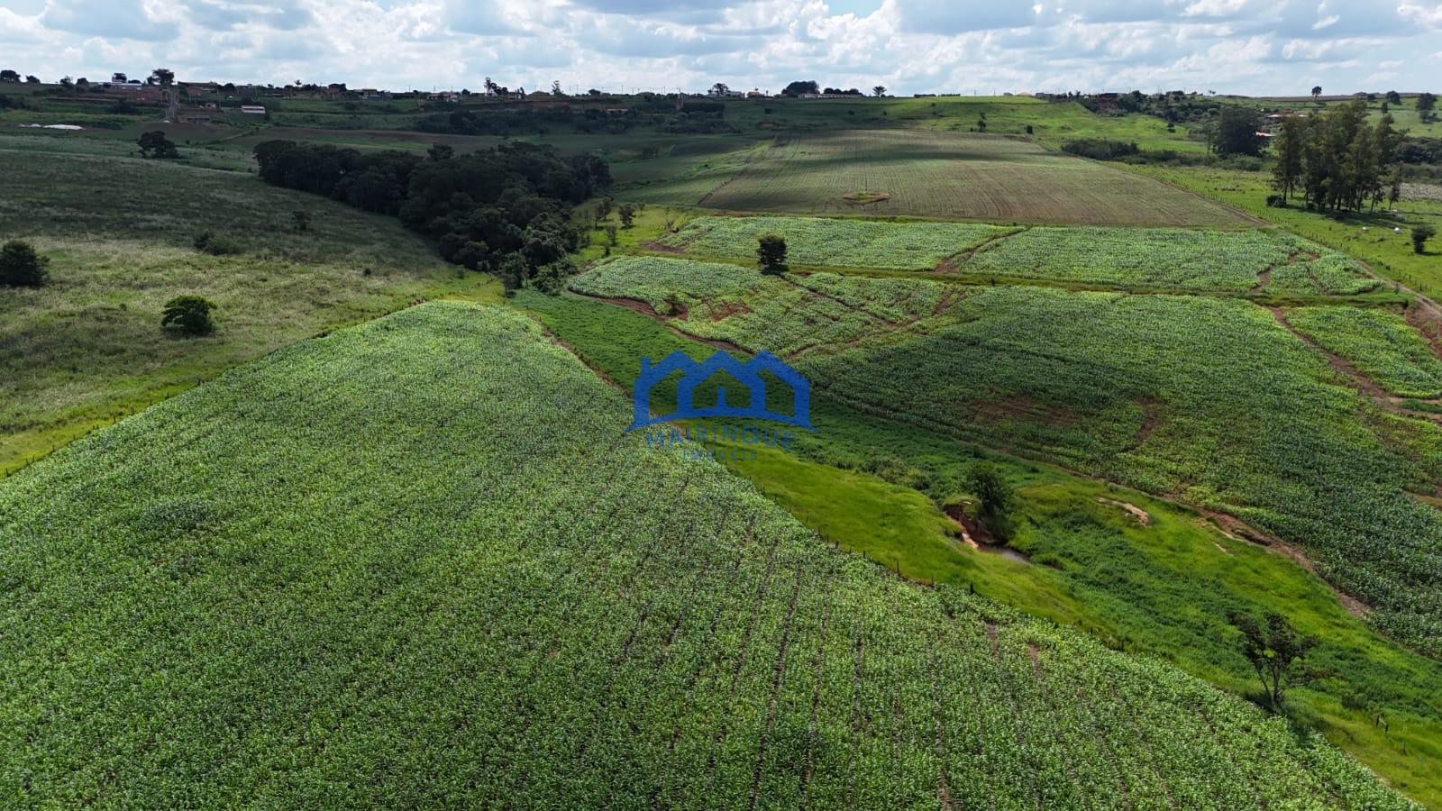 WhatsApp Image 2026-03-23 at 15.25.10