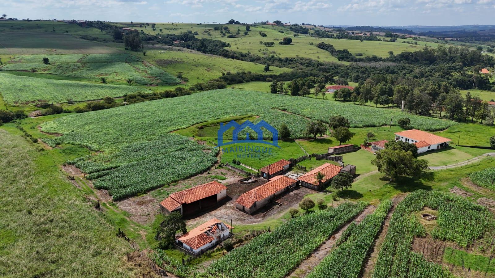 WhatsApp Image 2026-03-23 at 15.25.13 (1)