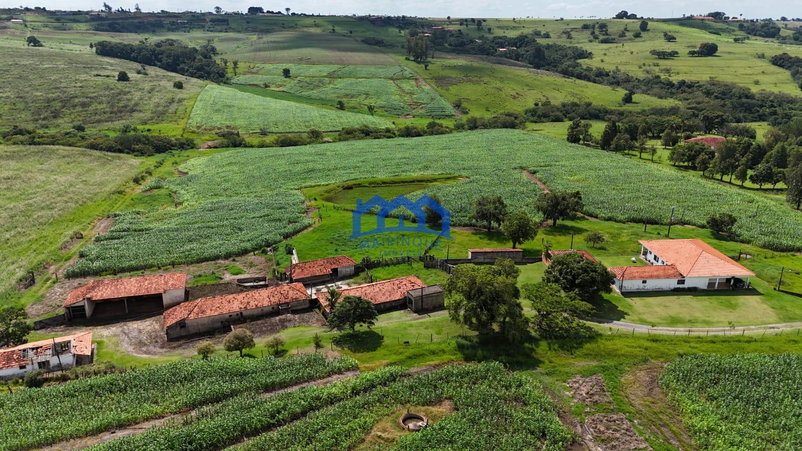 WhatsApp Image 2026-03-23 at 15.25.13 (2)