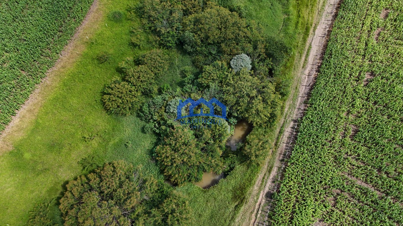 WhatsApp Image 2026-03-23 at 15.25.13