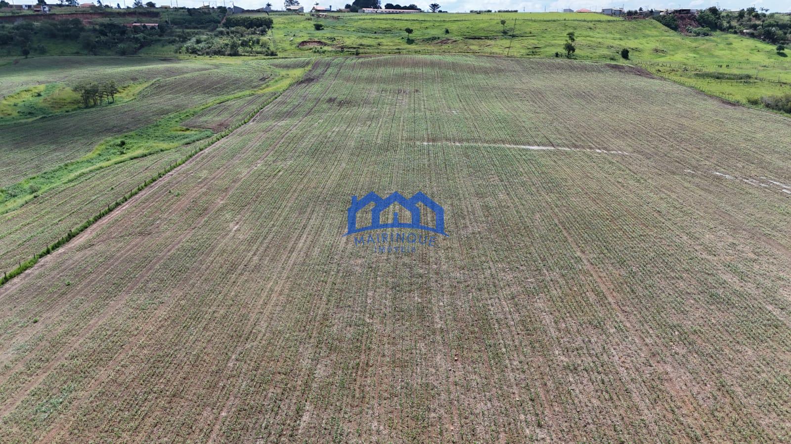 WhatsApp Image 2026-03-23 at 15.25.14 (2)