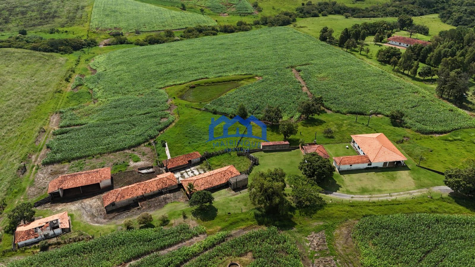 WhatsApp Image 2026-03-23 at 15.25.14