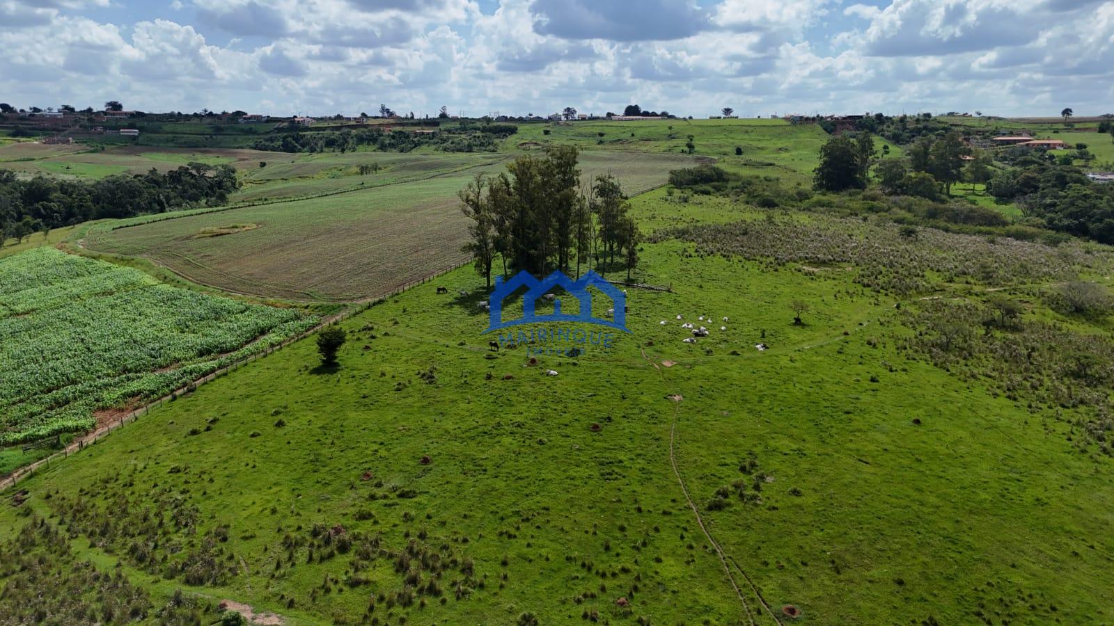 WhatsApp Image 2026-03-24 at 12.02.03 (1)