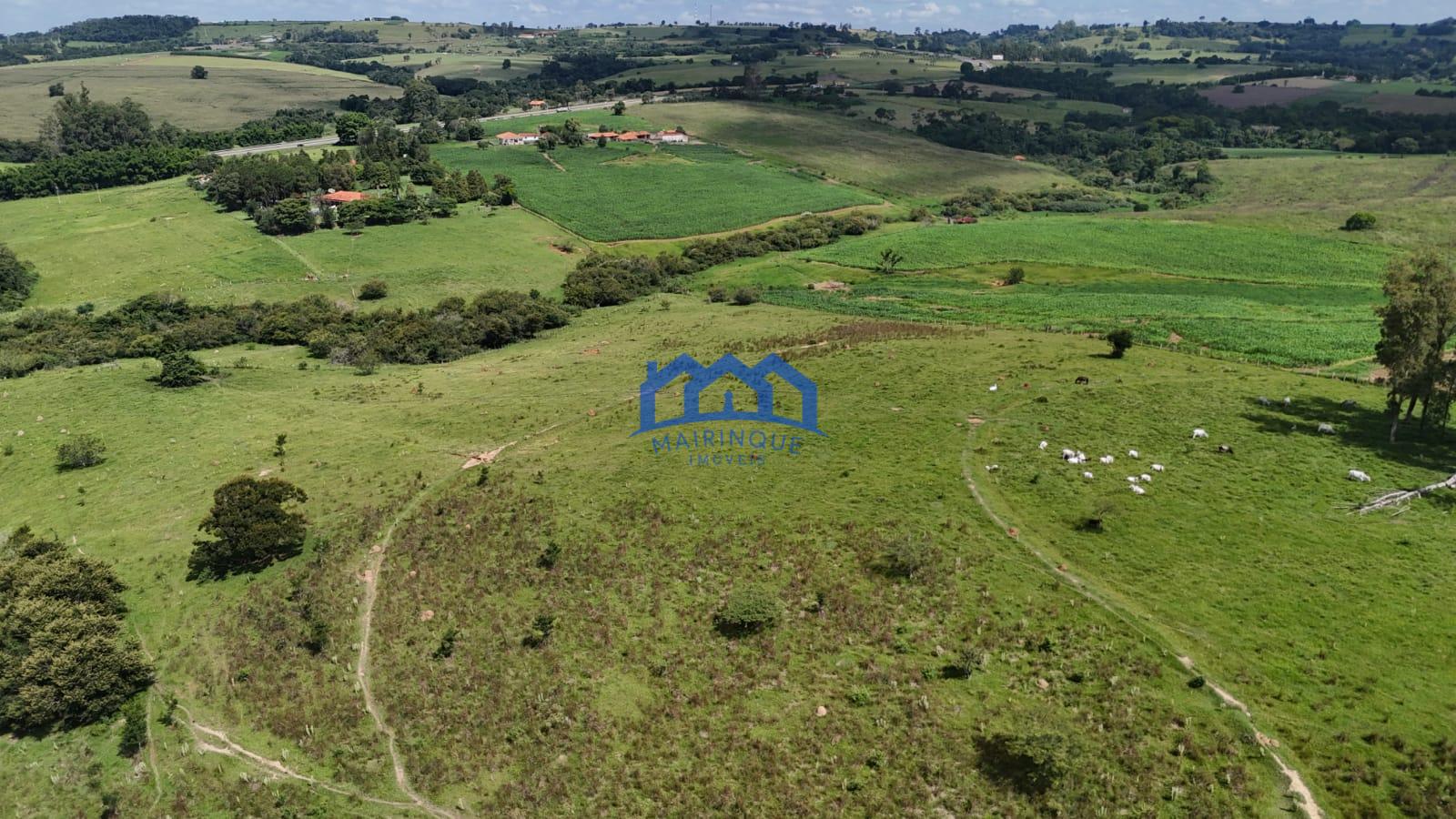 WhatsApp Image 2026-03-24 at 12.02.03 (3)