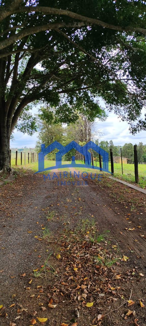 WhatsApp Image 2026-03-24 at 12.02.03 (4)