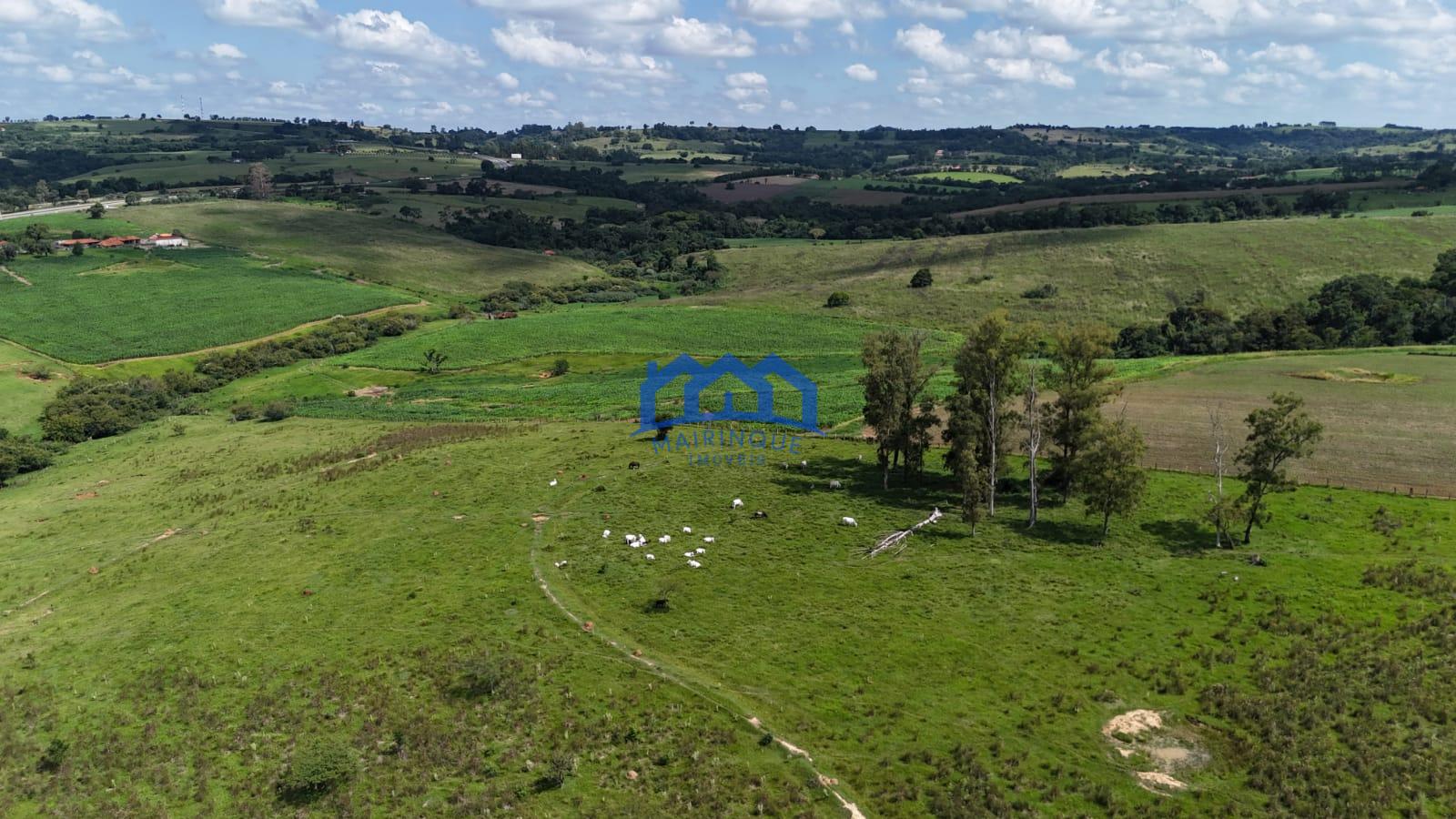 WhatsApp Image 2026-03-24 at 12.02.03