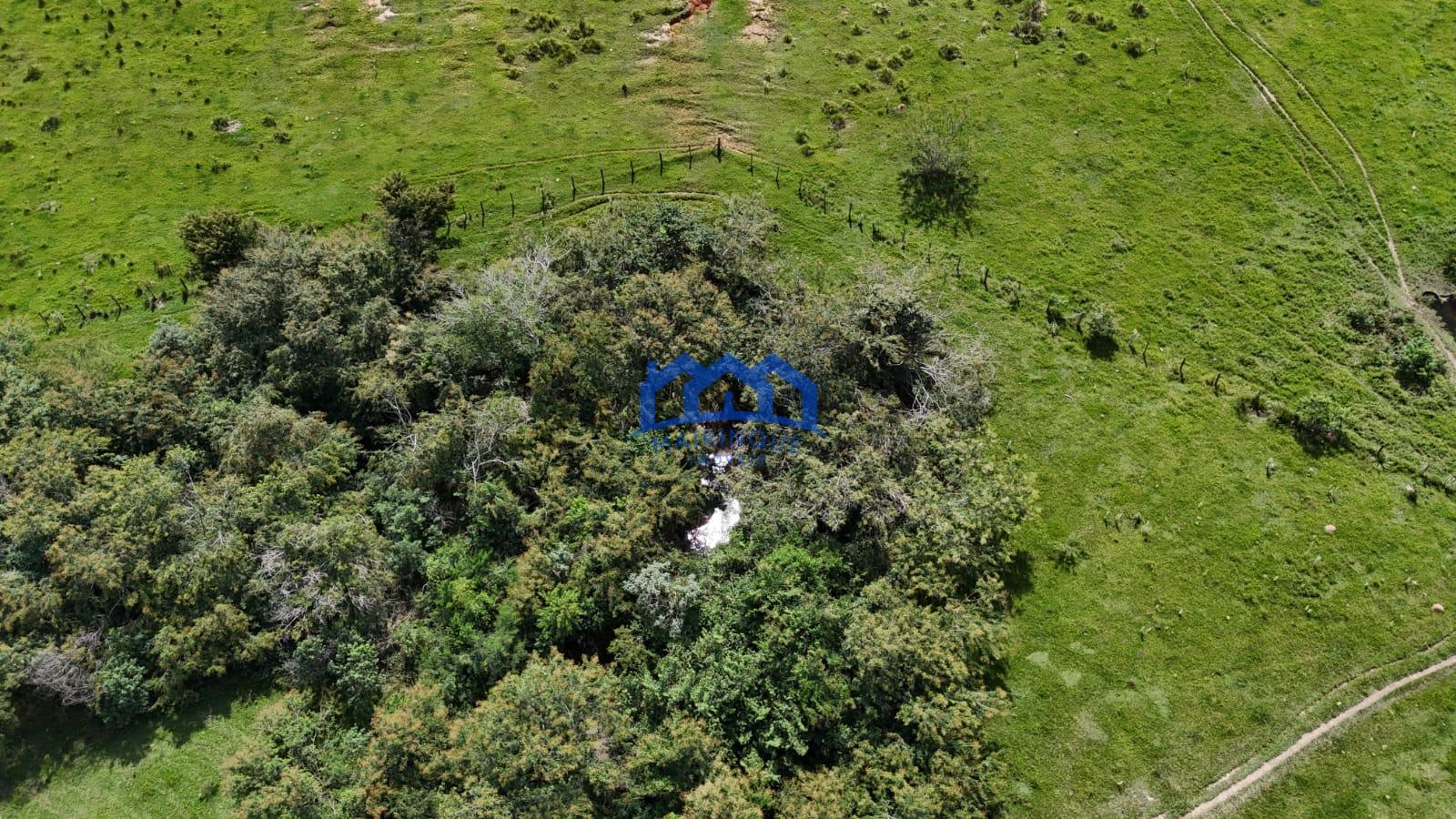 WhatsApp Image 2026-03-24 at 12.02.04 (2)