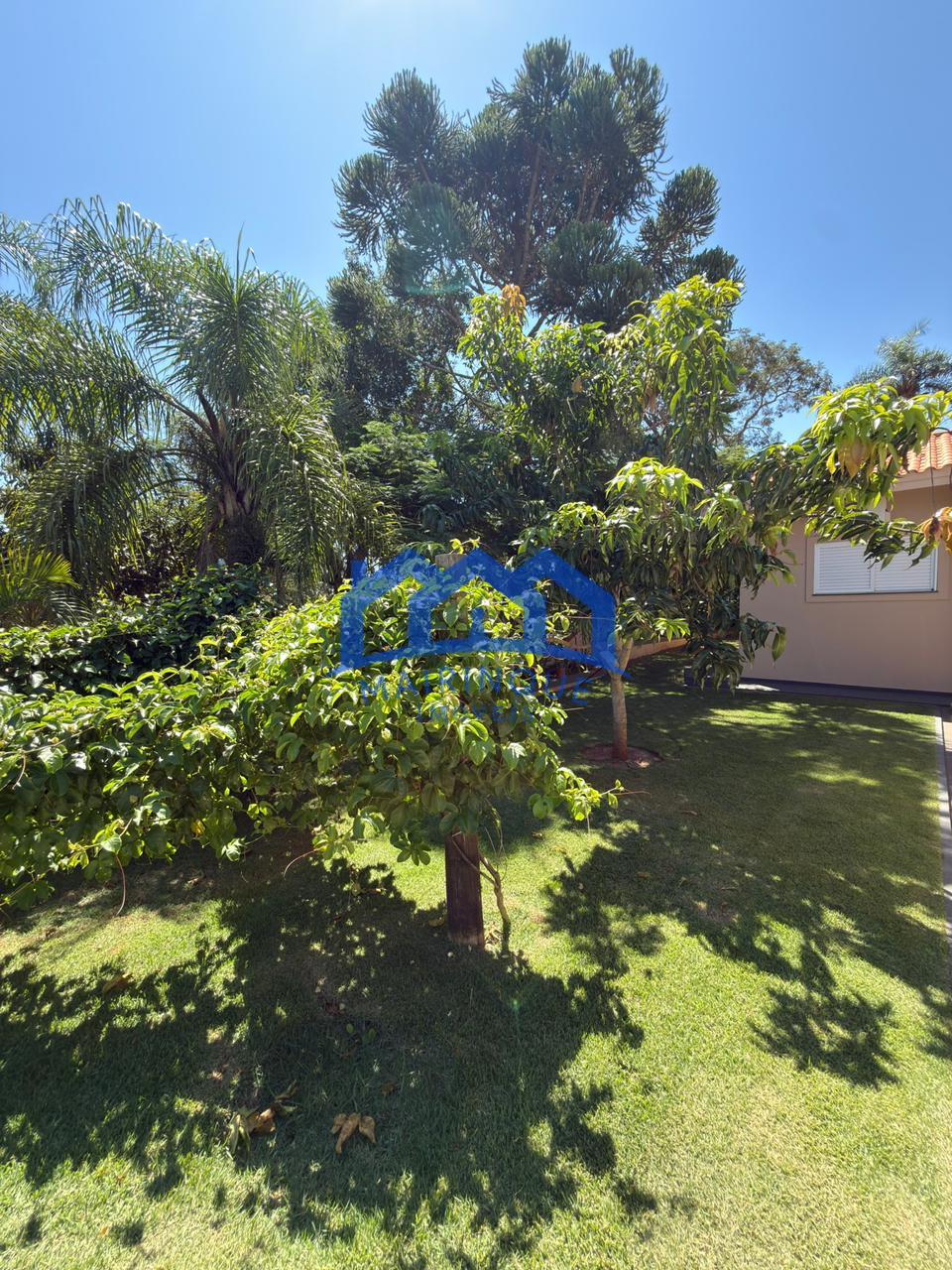 WhatsApp Image 2026-03-30 at 12.18.29 (4)