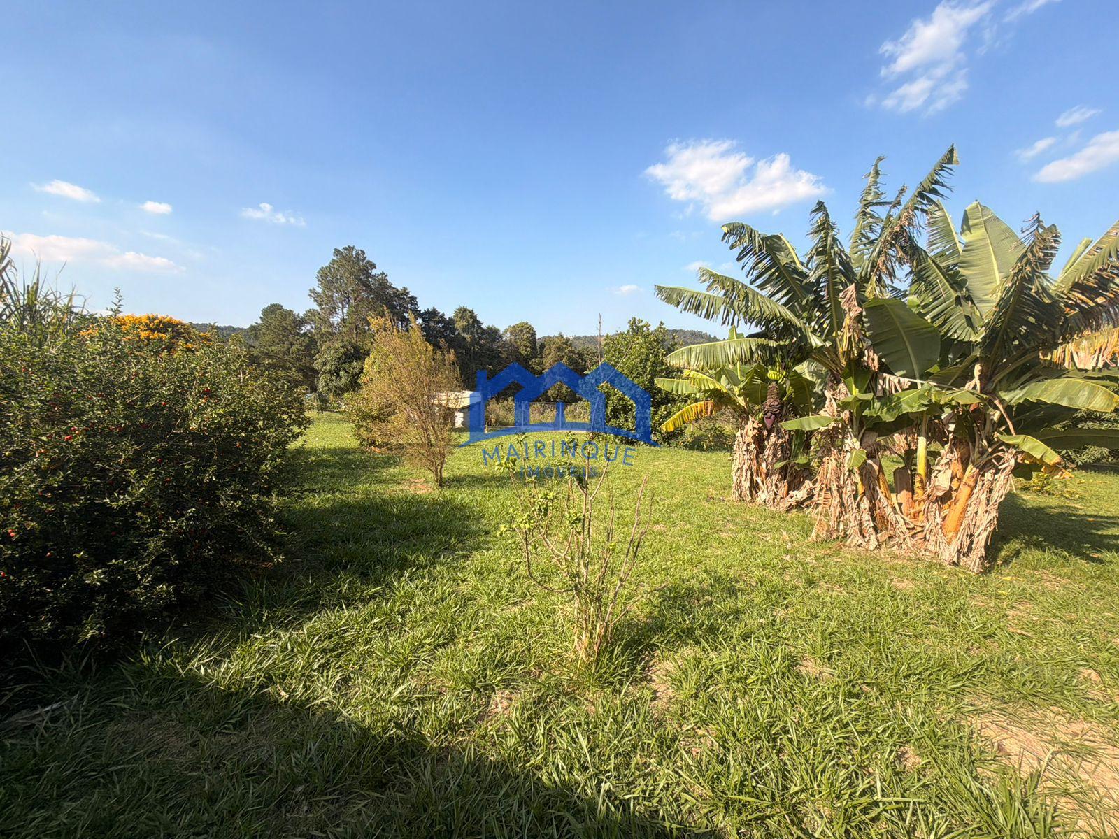 WhatsApp Image 2026-03-31 at 13.56.08