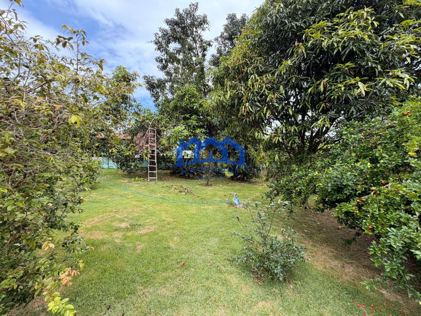 WhatsApp Image 2026-03-31 at 14.12.48 (4)