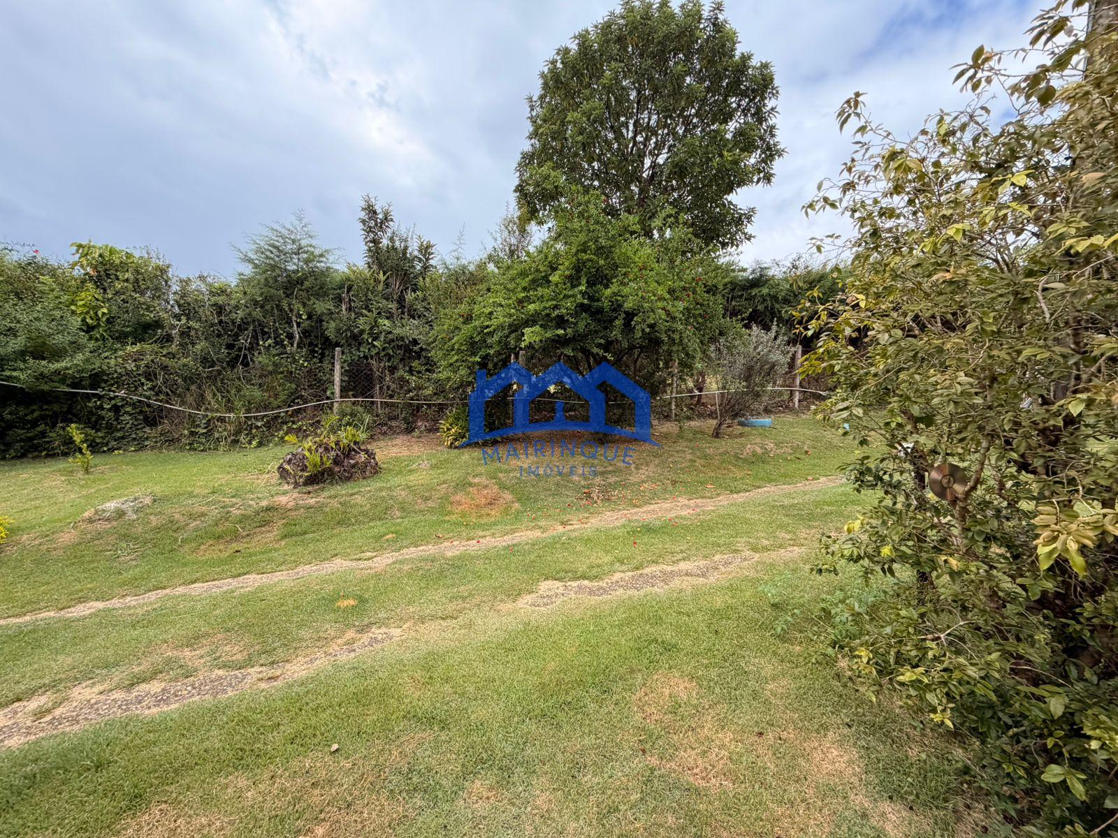 WhatsApp Image 2026-03-31 at 14.12.49