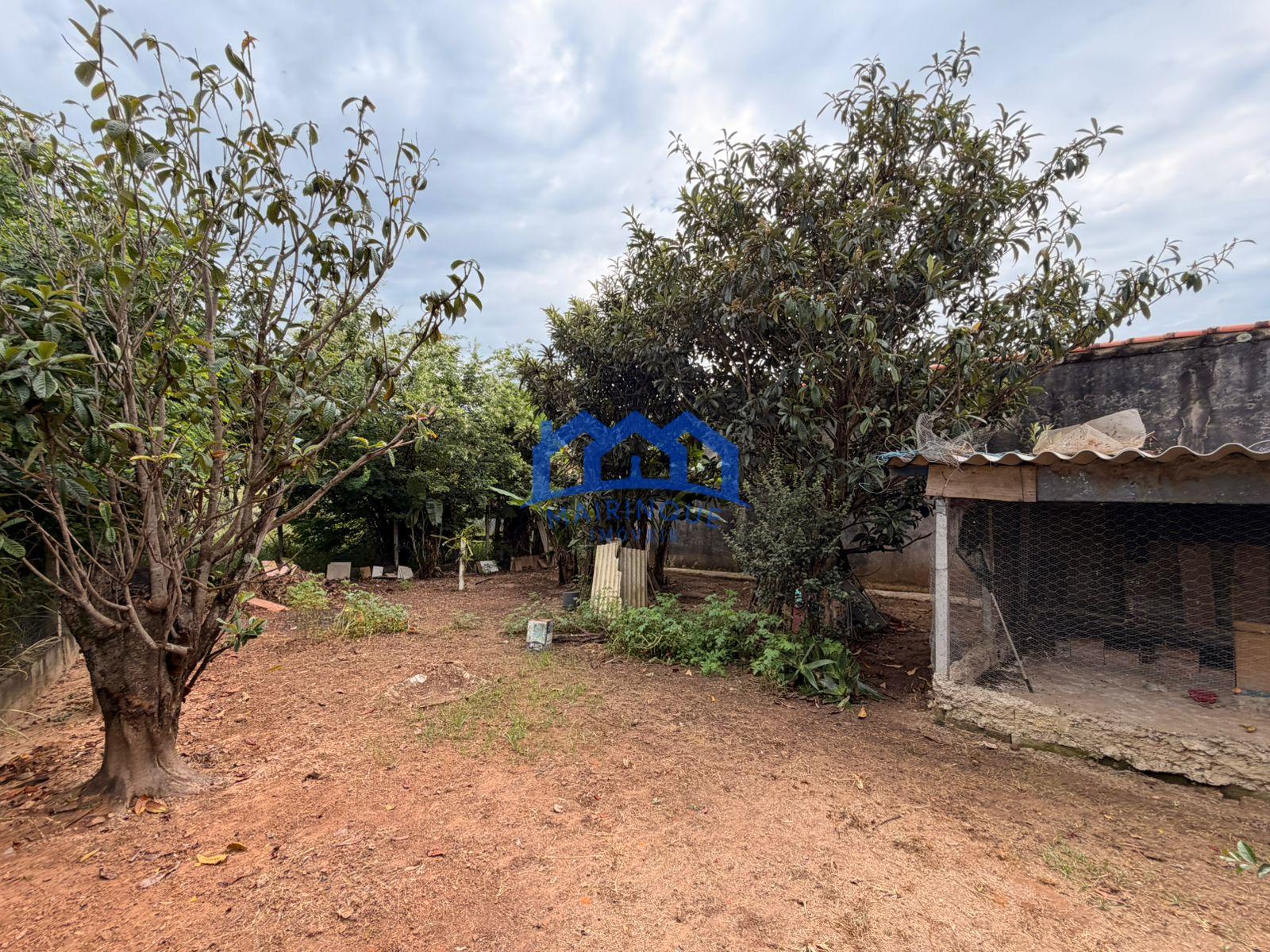 WhatsApp Image 2026-03-31 at 14.12.53 (1)