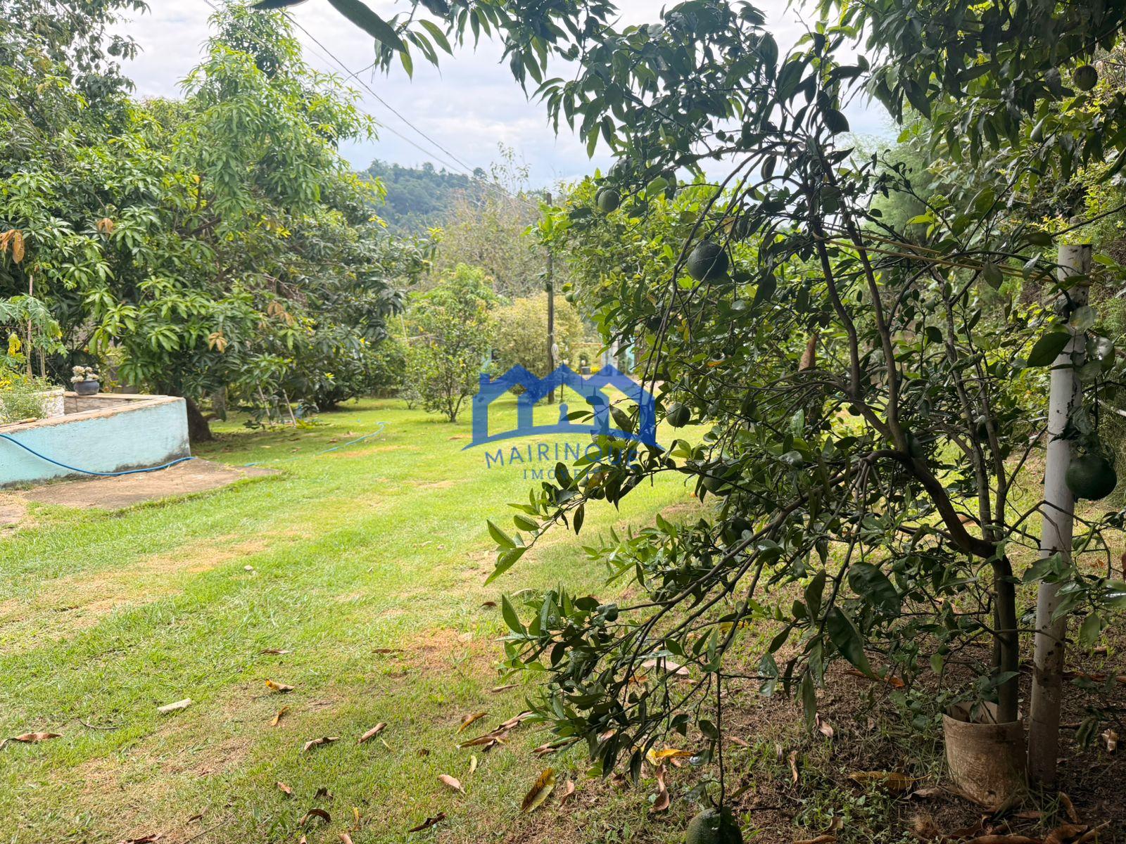 WhatsApp Image 2026-03-31 at 14.12.53 (2)