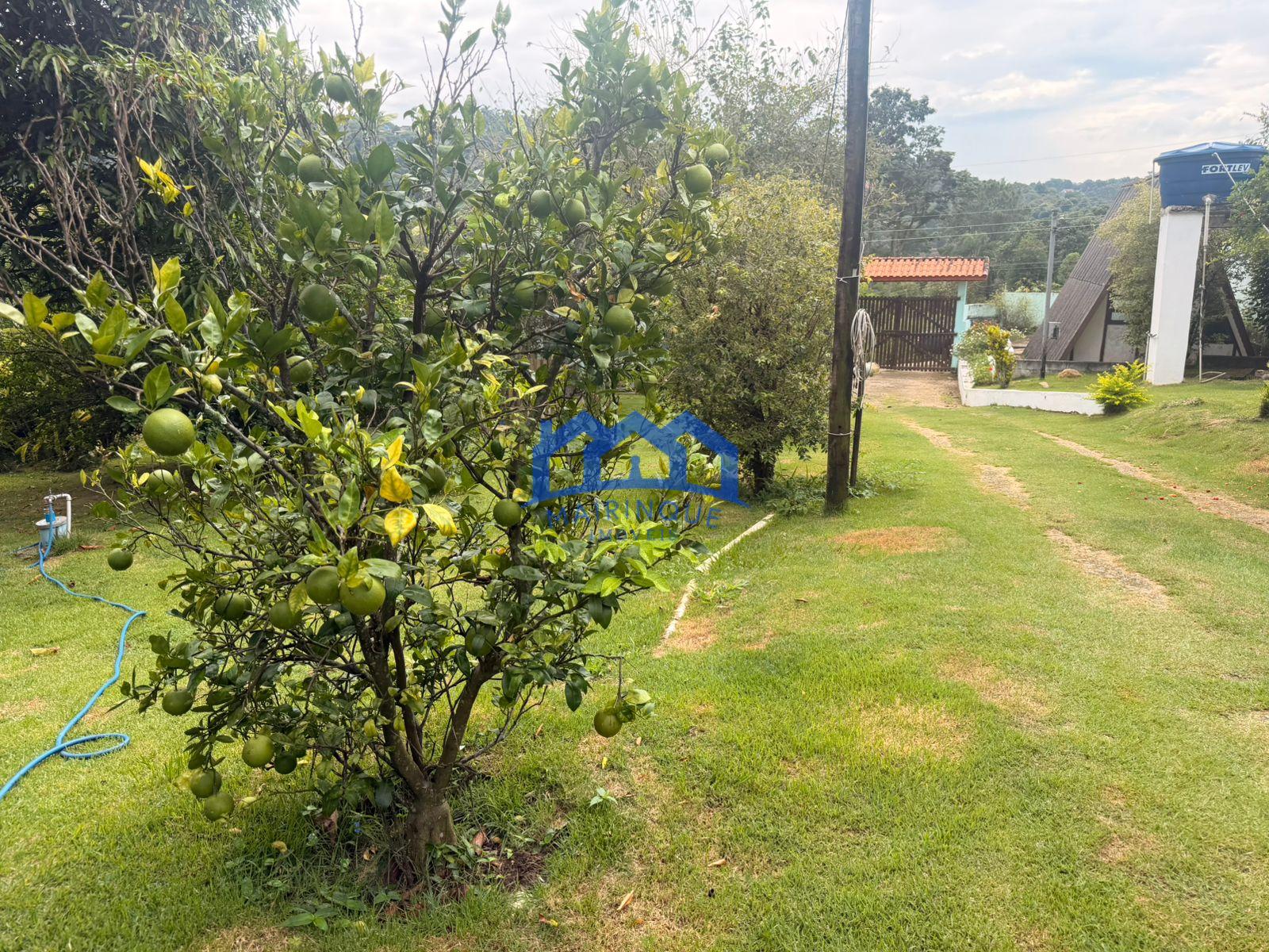 WhatsApp Image 2026-03-31 at 14.12.54 (1)