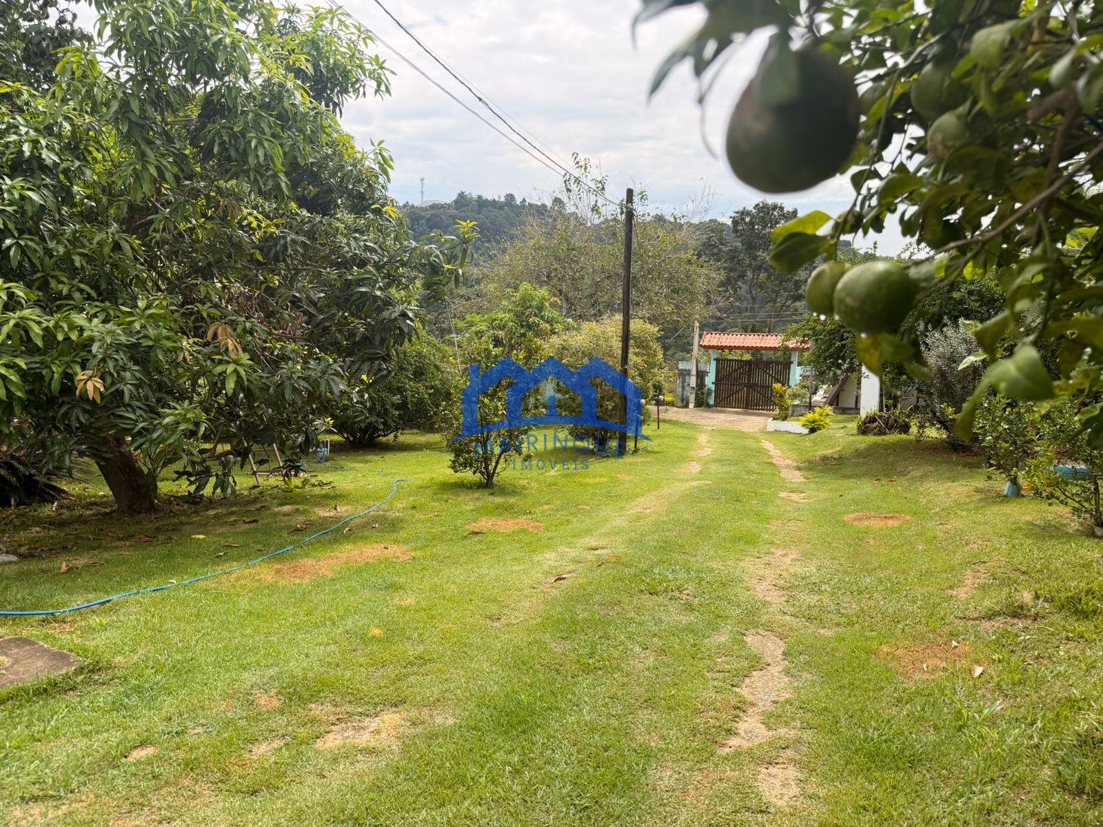 WhatsApp Image 2026-03-31 at 14.12.54