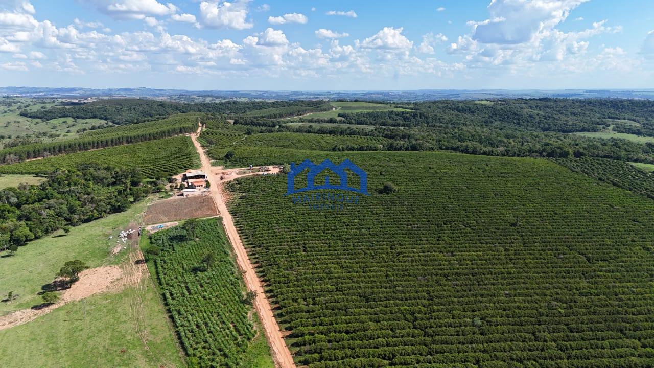 WhatsApp Image 2026-03-31 at 15.07.20 (1)