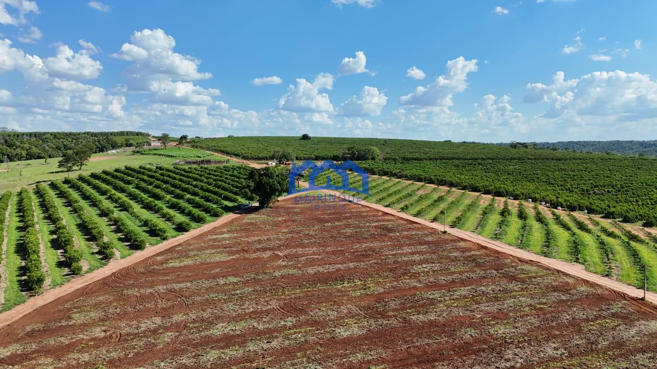 WhatsApp Image 2026-03-31 at 15.07.20