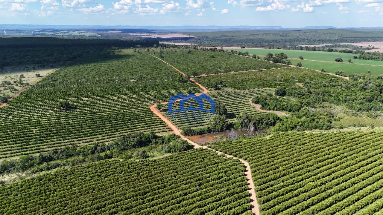 WhatsApp Image 2026-03-31 at 15.07.21 (1)