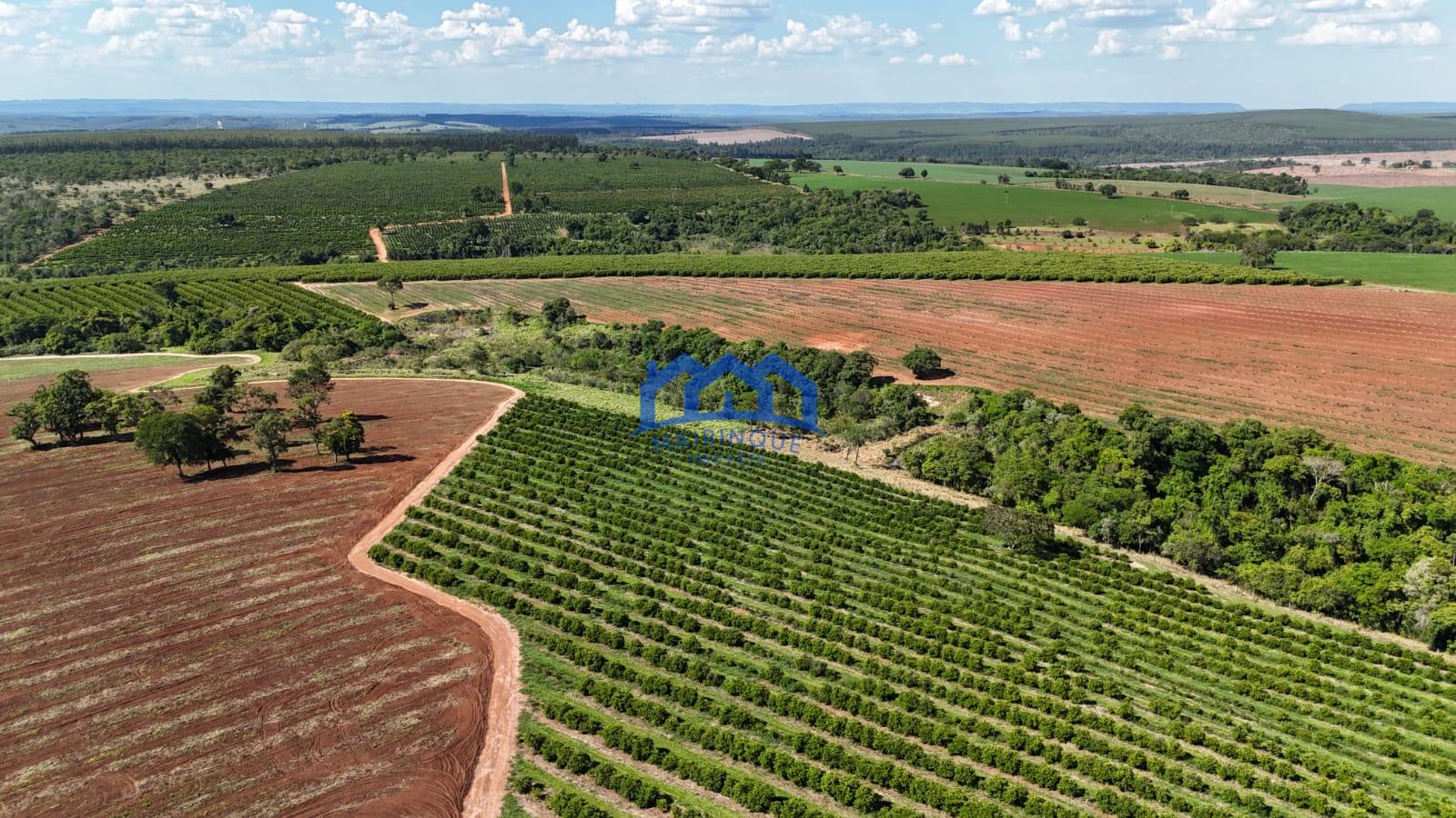 WhatsApp Image 2026-03-31 at 15.07.21 (3)