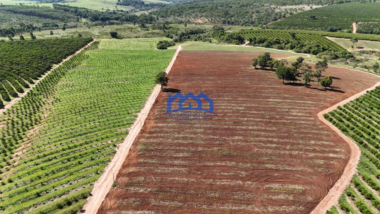 WhatsApp Image 2026-03-31 at 15.07.21