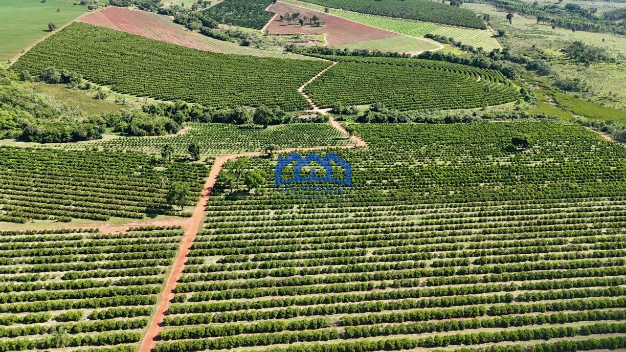 WhatsApp Image 2026-03-31 at 15.07.22 (2)