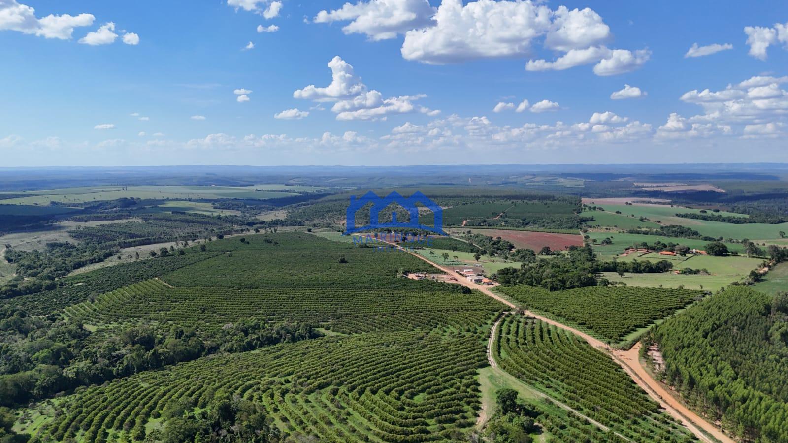 WhatsApp Image 2026-03-31 at 15.07.22 (3)