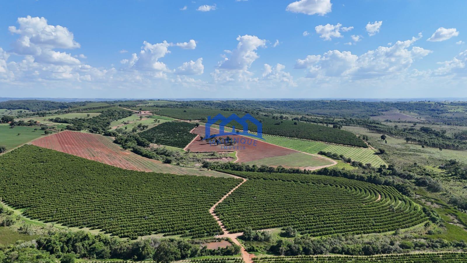 WhatsApp Image 2026-03-31 at 15.07.22 (5)