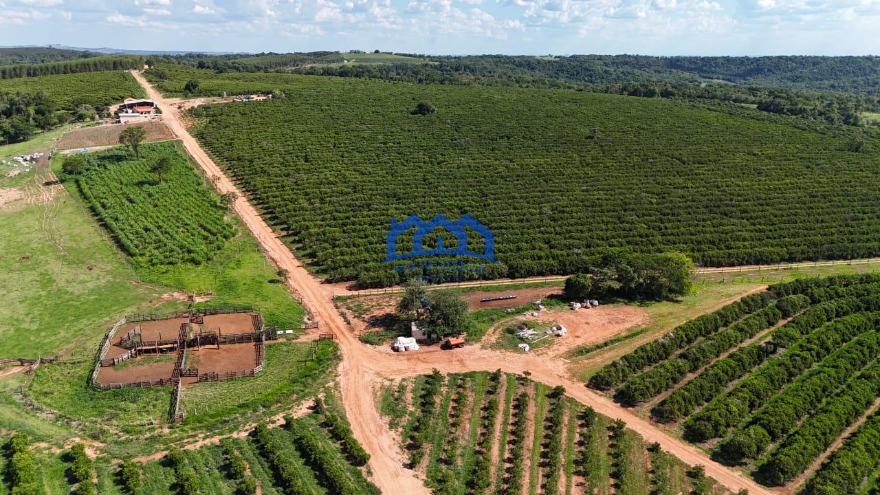 WhatsApp Image 2026-03-31 at 15.07.22