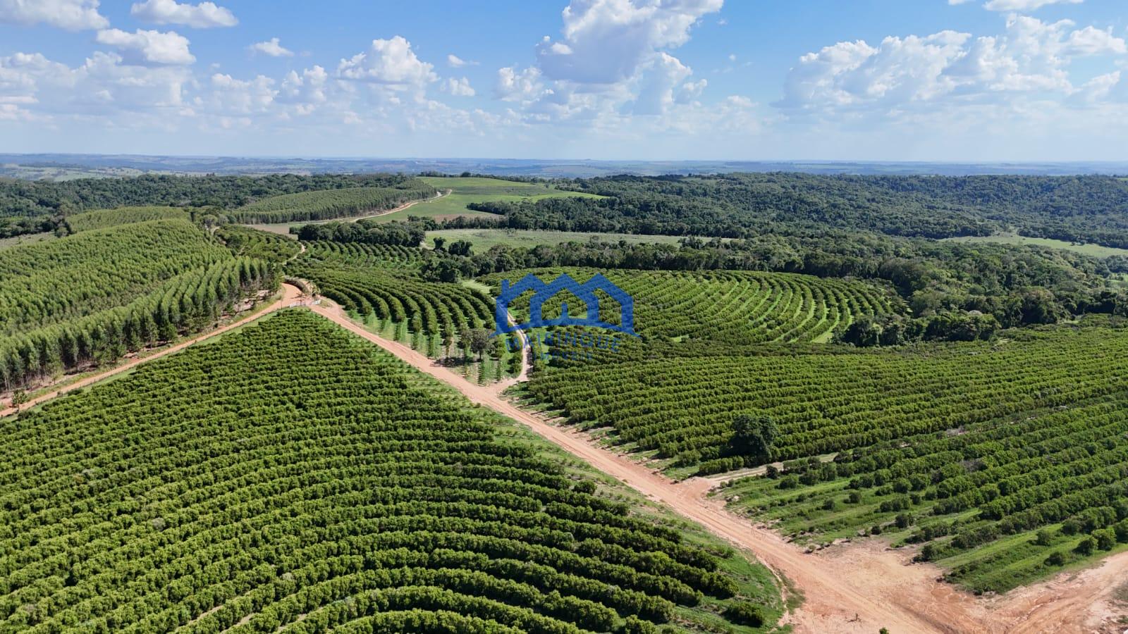 WhatsApp Image 2026-03-31 at 15.07.23 (1)