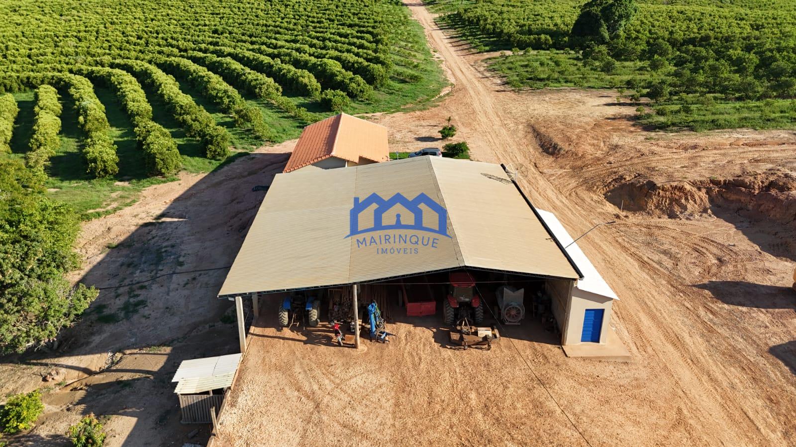 WhatsApp Image 2026-03-31 at 15.07.23 (2)