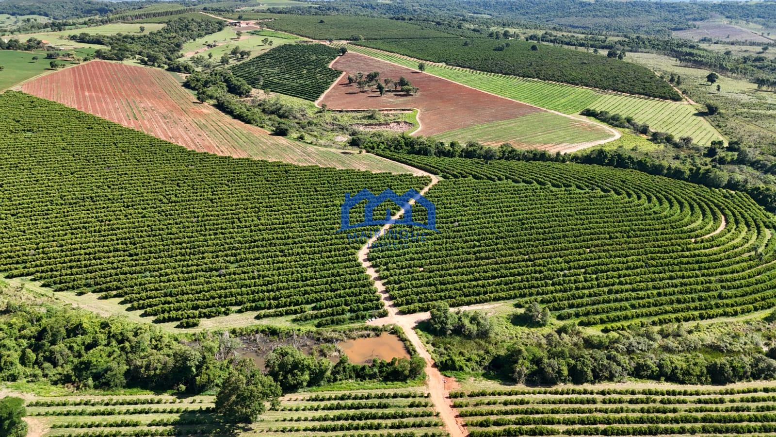 WhatsApp Image 2026-03-31 at 15.07.23 (3)